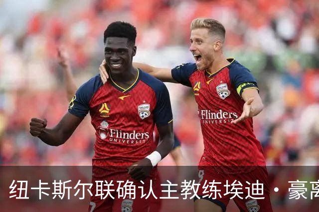 纽卡斯尔联确认主教练埃迪·豪离任